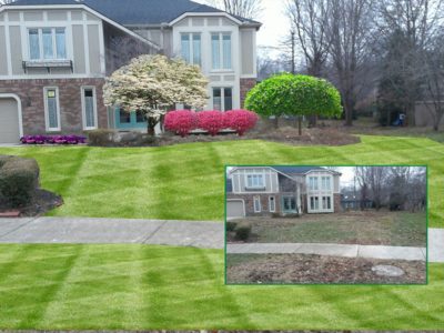 Lawn Installation Services in Ohio